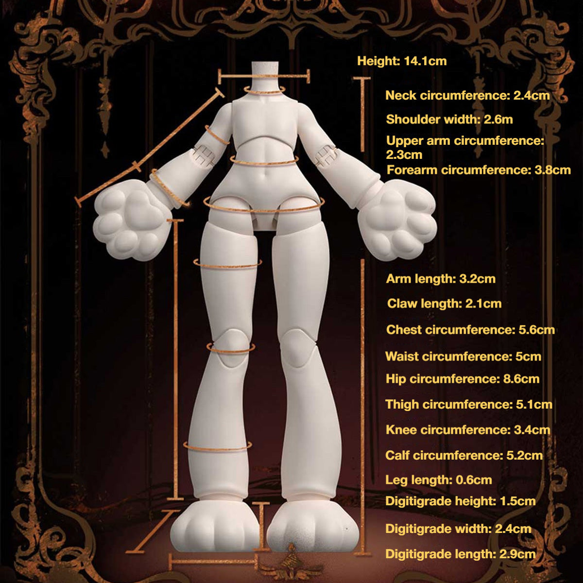 Doll Body Information