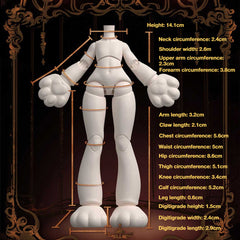 Doll Body Information
