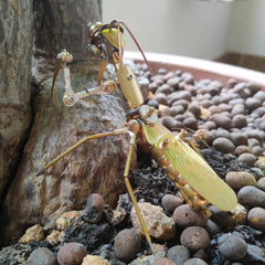 Handcrafted Metal Mantis